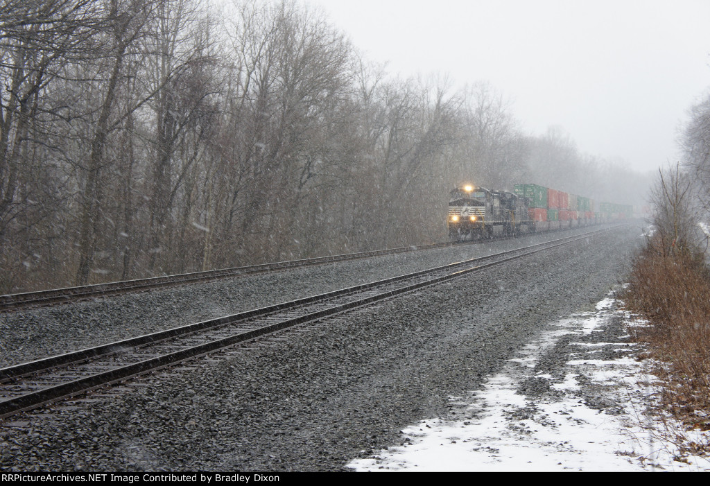 NS 9666 with NS 8788